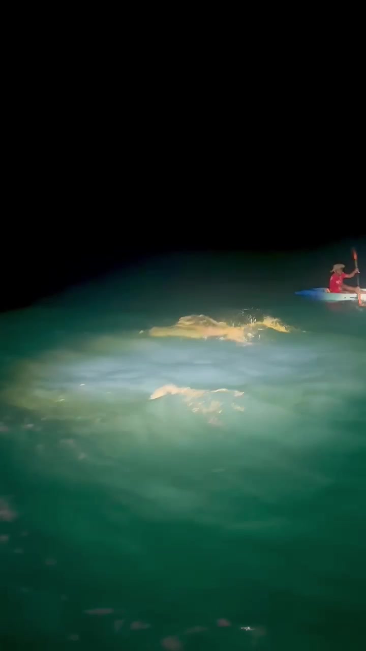 Night open-water swim